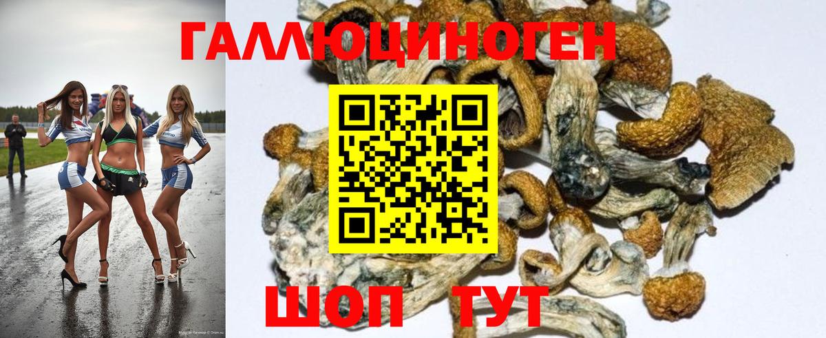 Галлюциногенные грибы Magic Shrooms Можга