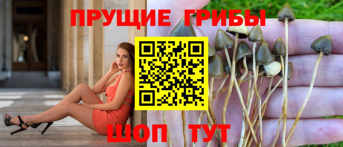 Галлюциногенные грибы ЛСД  Вход с VPN  Можга 
